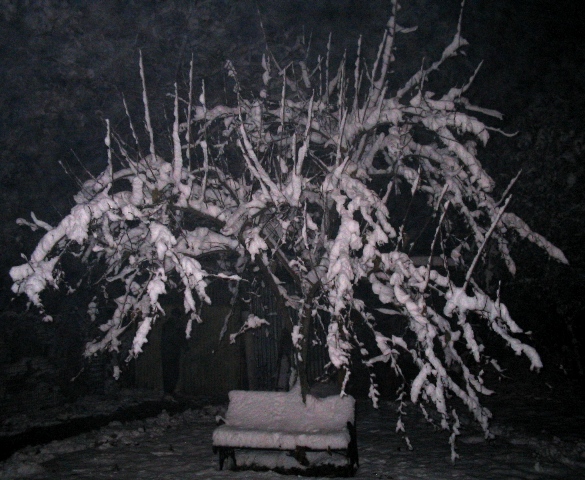 Bianco d''autunno